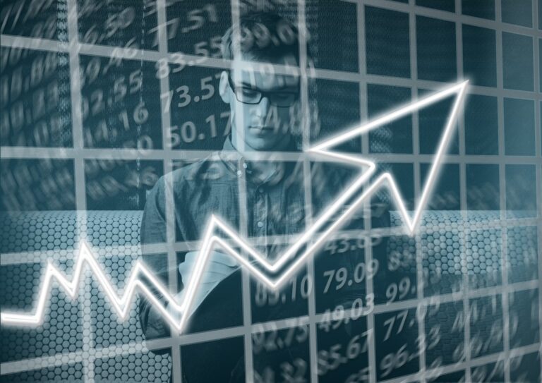 Choosing Your First Stocks: An Introduction
