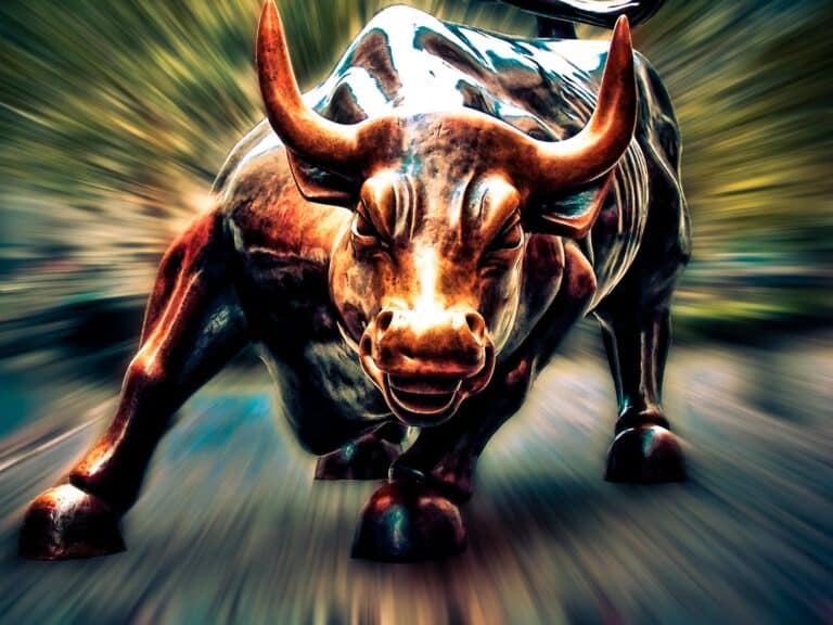 Rise Of The New Bull Market?